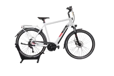 Pegasus Solero EVO 9 | Upway, Gebrauchtes Ebike