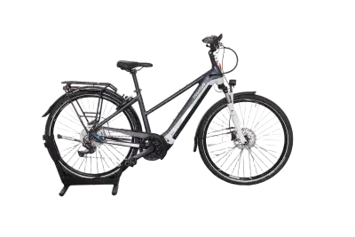 Pegasus Premio EVO 10 Lite | Upway, Gebrauchtes Ebike