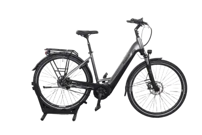 Pegasus Premio Evo 5R Belt | Upway, Gebrauchtes Ebike