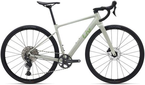 Liv BeLiv AR 1 Grau Modell 2027