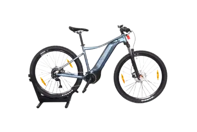 Liv Tempt E+2 | Upway, Gebrauchtes Ebike