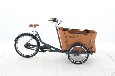 Babboe CURVE MOUNTAIN – 2021 – für Körpergröße 160 - 190 cm