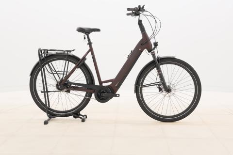 Pegasus STRONG EVO 5R 625 – 2023 – für Körpergröße 185 - 195 cm