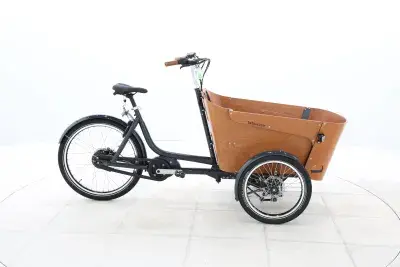 Babboe Flow Mountain – 2023 – für Körpergröße 160 - 190 cm