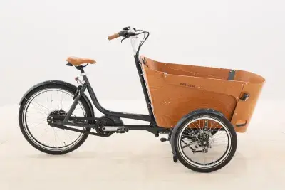 Babboe Carve Mountain – 2022 – für Körpergröße 160 - 190 cm