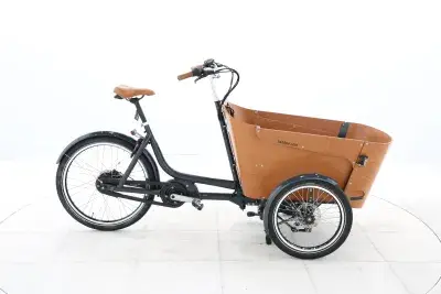 Babboe Carve Mountain – 2022 – für Körpergröße 160 - 190 cm