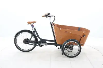 Babboe Carve Mountain – 2022 – für Körpergröße 160 - 190 cm