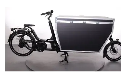 Urban Arrow Family Cargo Line | Upway, Gebrauchtes Ebike