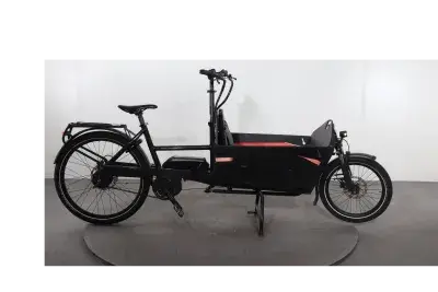 Riese & Müller Packster 60 | Upway, Gebrauchtes Ebike