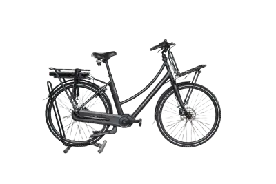 Freebike Bronx MM | Upway, Gebrauchtes Ebike