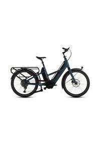 E-Bike LONGTAIL HYBRID 800