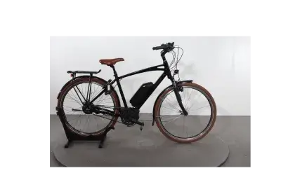 Riese & Müller Cruiser2 vario | Upway, Gebrauchtes Ebike