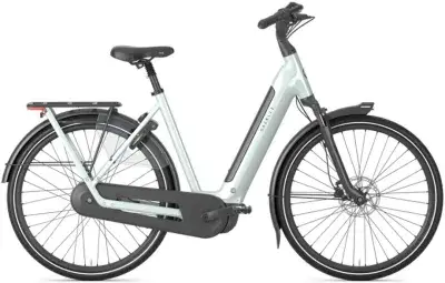 Gazelle Arroyo C8 Elite RT Grün Modell 2027