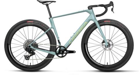 Orbea Terra Race M31e LTD 1X Grau Modell 2027