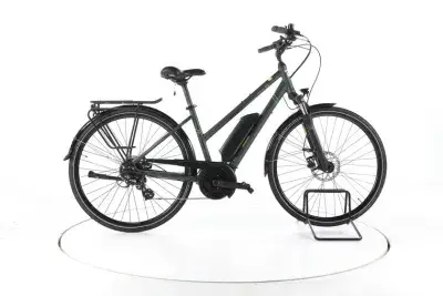 Triumph E Bird Plus 400 Trekking E-Bike