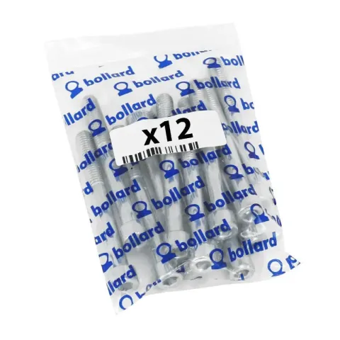 Set mit 12 Innensechskantschrauben P2R