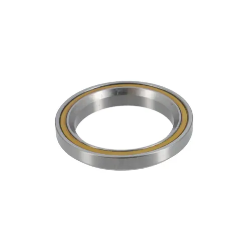 Wälzlager Black Bearing B19