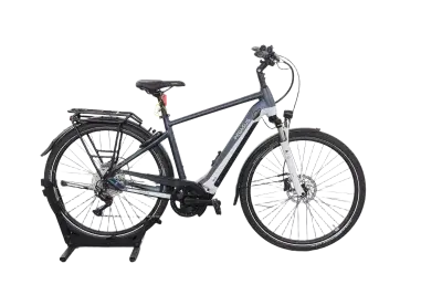Pegasus Premio EVO 10 Lite | Upway, Gebrauchtes Ebike