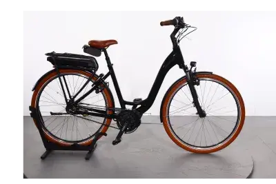 Riese & Müller Swing Rücktritt | Upway, Gebrauchtes Ebike