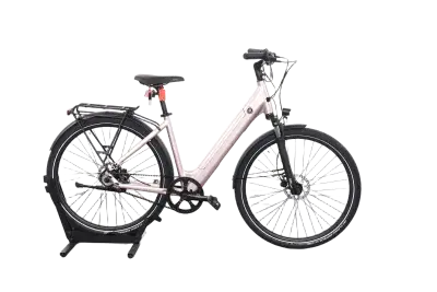 Tenways CGO800S | Upway, Gebrauchtes Ebike