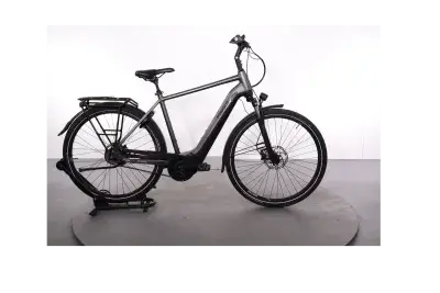 Pegasus Premio Evo 5R Belt | Upway, Gebrauchtes Ebike
