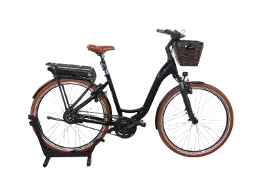 Riese & Müller Swing vario | Upway, Gebrauchtes Ebike
