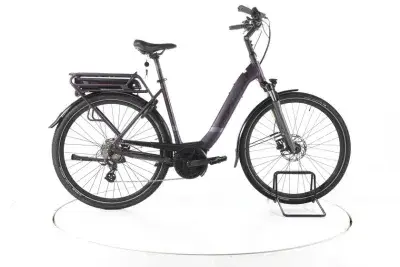 Pegasus Solero E8 Plus Trekking E-Bike Tiefeinsteiger