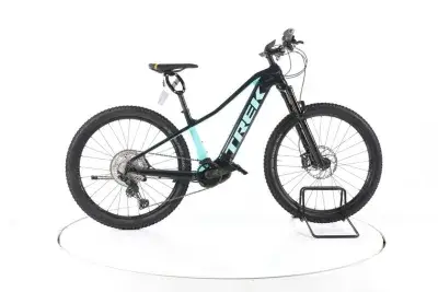 Trek Powerfly 7 E-Bike
