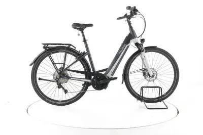 Pegasus Premio Evo 10 Lite Trekking E-Bike Tiefeinsteiger