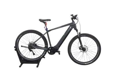 Bulls CROSS FLYER EVO 2 | Upway, Gebrauchtes Ebike