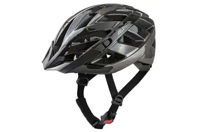 Alpina Helm Panoma 2.0