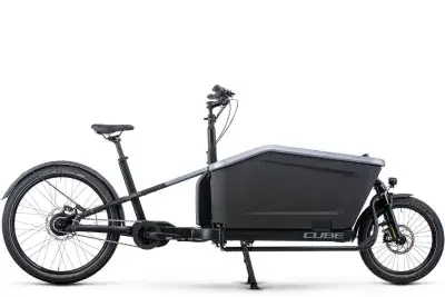 Cube Cargo Dual Hybrid 1000