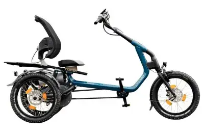 Vanraam Easy Rider Dreirad