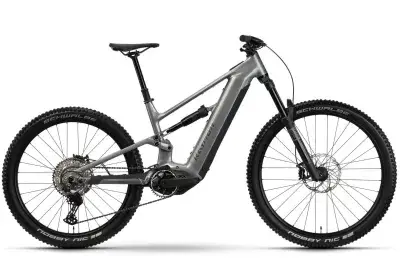 RAYMON Ravor Comp 2026