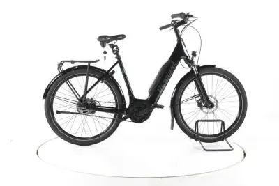 Diamant Beryll Esprit City E-Bike Tiefeinsteiger