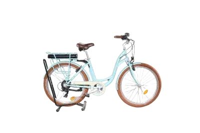 Arcade E-Colors | Upway, Gebrauchtes Ebike