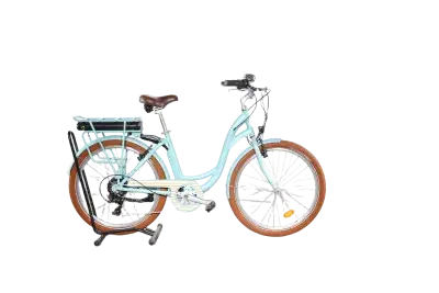 Arcade E-Colors | Upway, Gebrauchtes Ebike