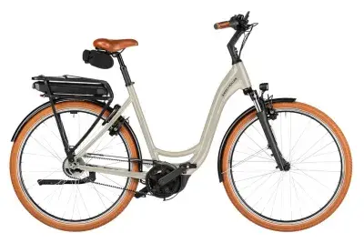 Riese und Müller Swing5 rücktritt Braun Modell 2027