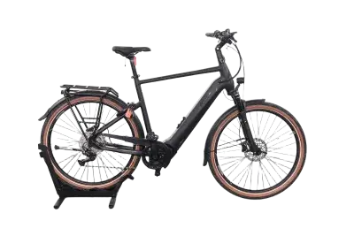 Pegasus Premio EVO 10 Lite | Upway, Gebrauchtes Ebike