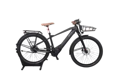Bulls Sturmvogel EVO 5F | Upway, Gebrauchtes Ebike