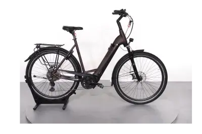 Pegasus Strong Evo lite Cx | Upway, Gebrauchtes Ebike