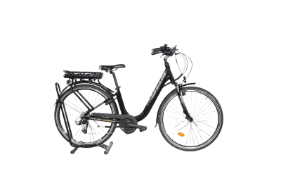 Nakamura E-Powerfit LTD | Upway, Gebrauchtes Ebike