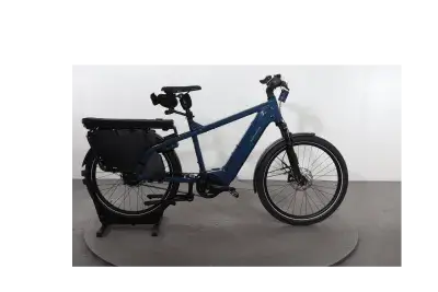 Riese & Müller Multicharger2 GT Vario | Upway, Gebrauchtes Ebike