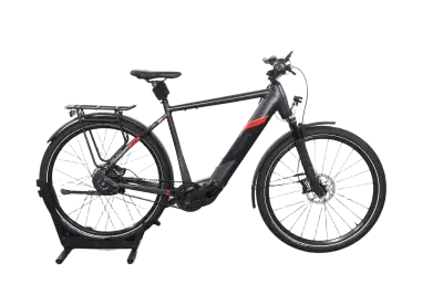 Malaguti Carezza | Upway, Gebrauchtes Ebike