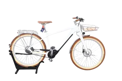 Bulls STURMVOGEL EVO 5F BELT | Upway, Gebrauchtes Ebike