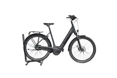 Diamant Beryll | Upway, Gebrauchtes Ebike