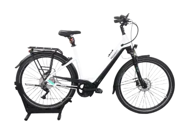 Pegasus Premio EVO 10 Lite | Upway, Gebrauchtes Ebike
