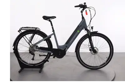Saxonette Deluxe Sport | Upway, Gebrauchtes Ebike