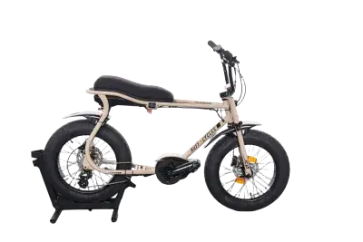 Ruff Cycles Lil'Buddy CX | Upway, Gebrauchtes Ebike
