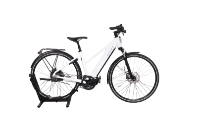 Riese & Müller Roadster Mixte vario | Upway, Gebrauchtes Ebike